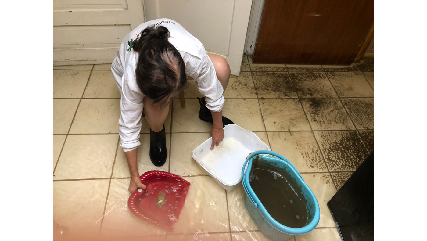 慈濟志工倪萊娣在清理自家環境後，前來協助李敏玉。攝影／蔣珊珊