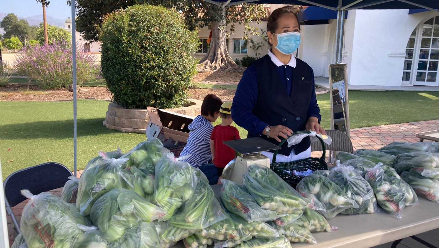 良機農場的攤位提供當天現摘的蔬菜參與義賣。攝影 / 陳海嘉