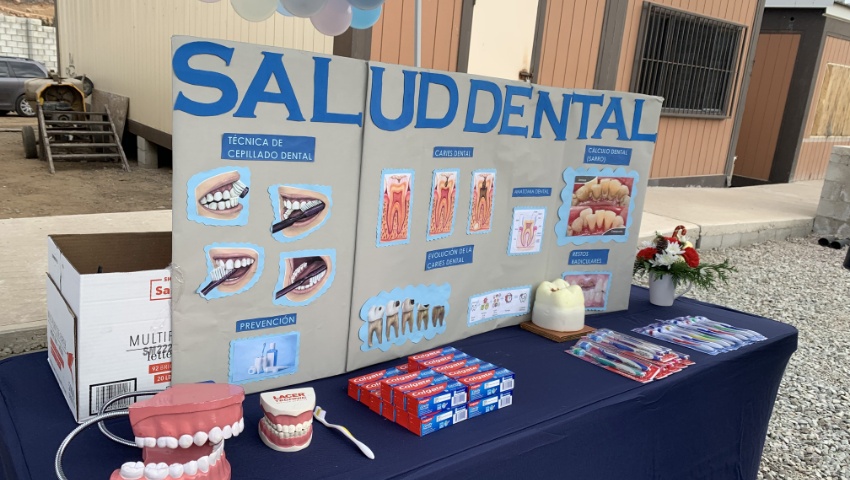 Diagrams and dental models at the Oral Hygiene Education booth