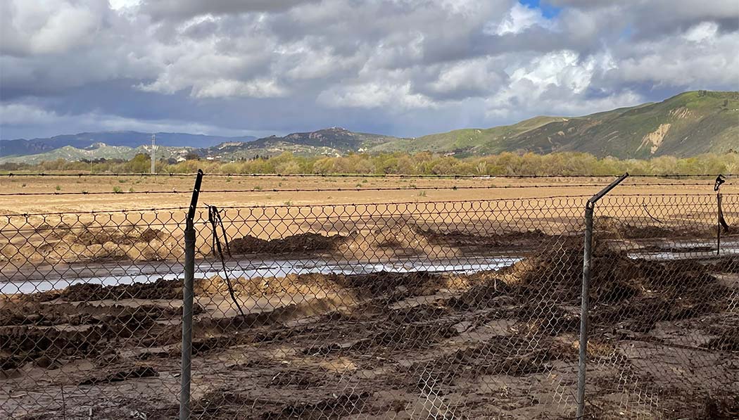Ventura's farm became barren land