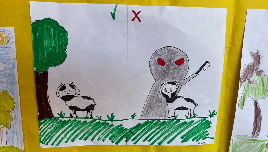 Dibujos de los niños representan de manera clara lo aprendido durante actividades. Foto / Michelle Young