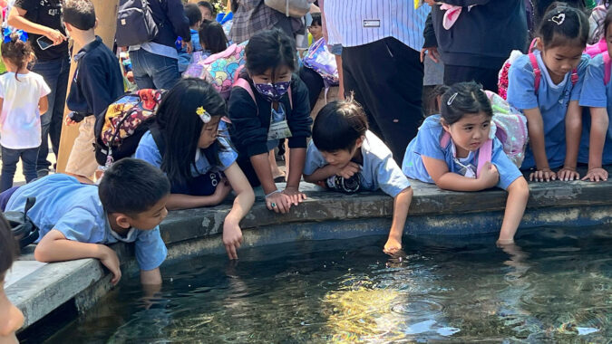 慈濟快樂兒童夏令營 太平洋水族館戶外教學
