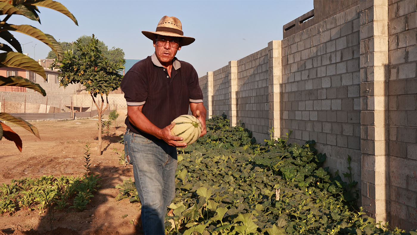 Volunteer Fabian Vega hold a watermelon he plants