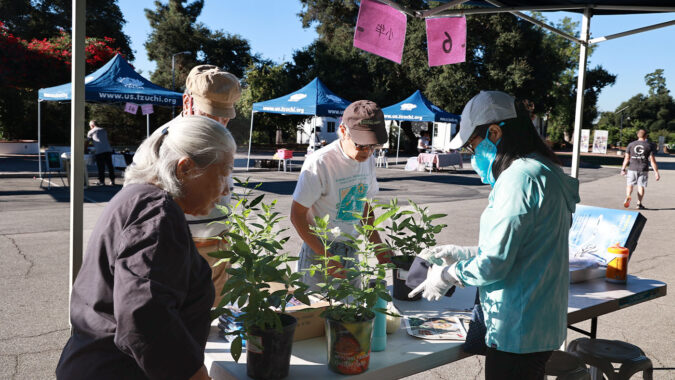 One Day Farmers Market Returns with Home-grown Organic Produce