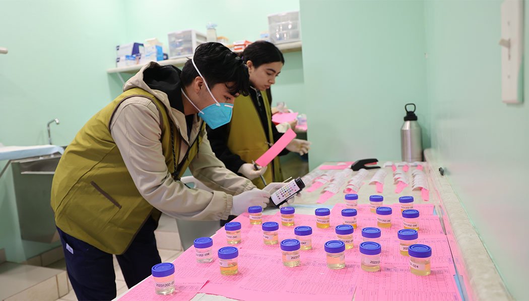 Volunteers test patient urine samples