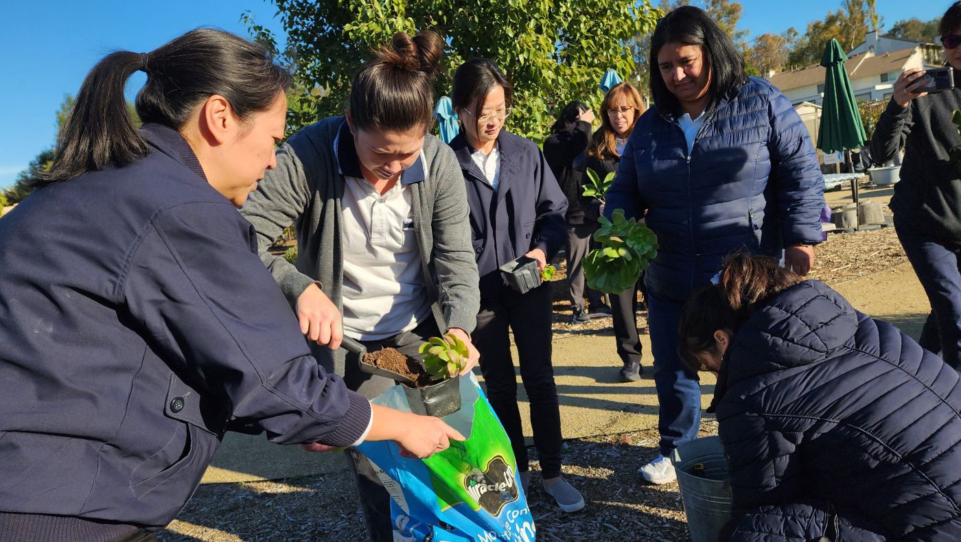 Teachers from Walnut Ci Primary School held briefings on green actions and planted trees.