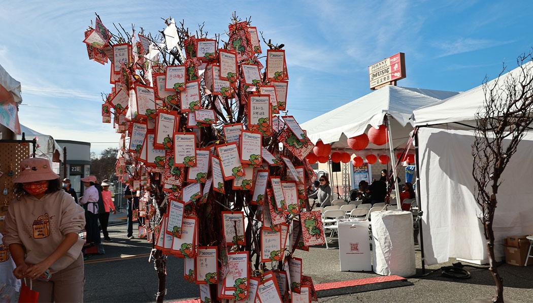 Trees are hung with people’s wish cards