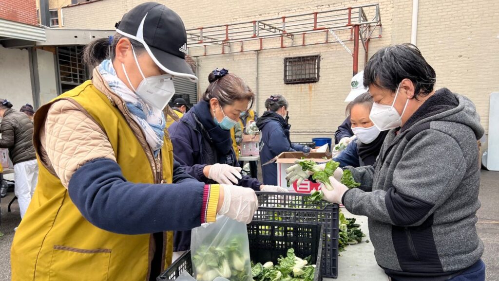 Mr. Wu works with Tzu Chi volunteers to select dishes for preparing hot lunch boxes.