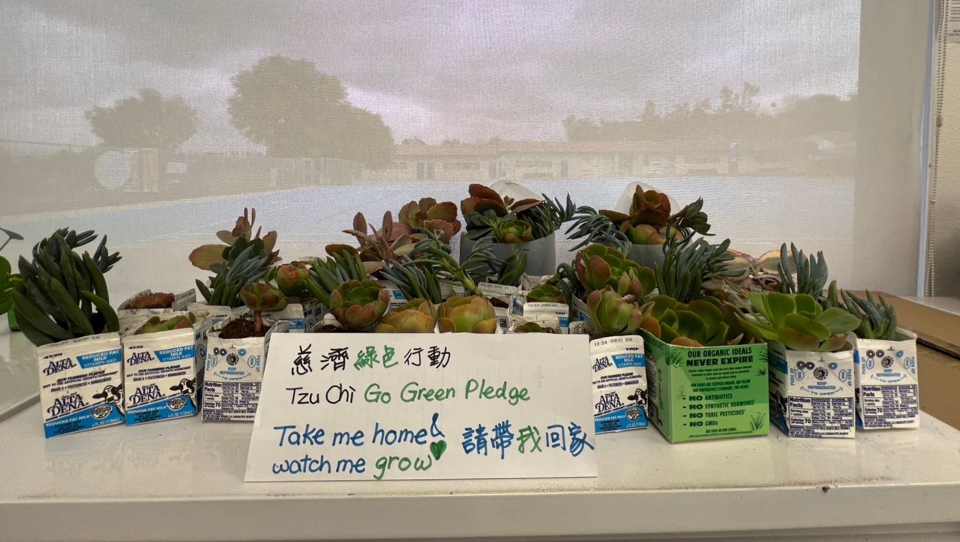 "Tzu Chi Green Action" uses practical actions to increase vegetation coverage.