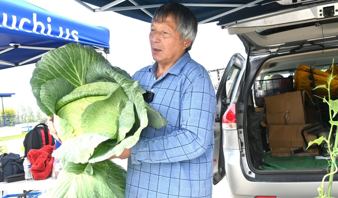 Chen Jianrong, Tzu Chi’s horticulture “emergency” teacher, shows the results of growing cabbage.