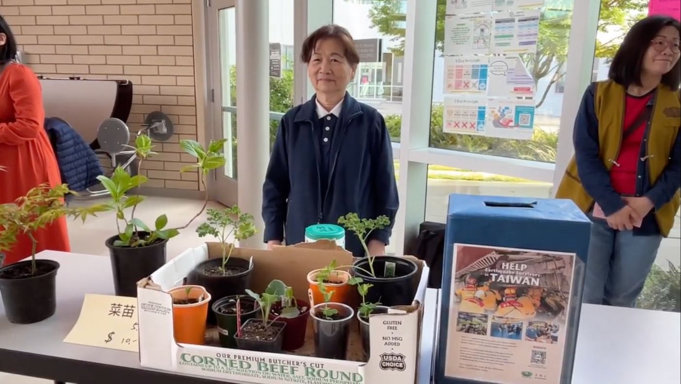 There are a wide range of products at the charity sale, and fresh vegetable seedlings are very popular.