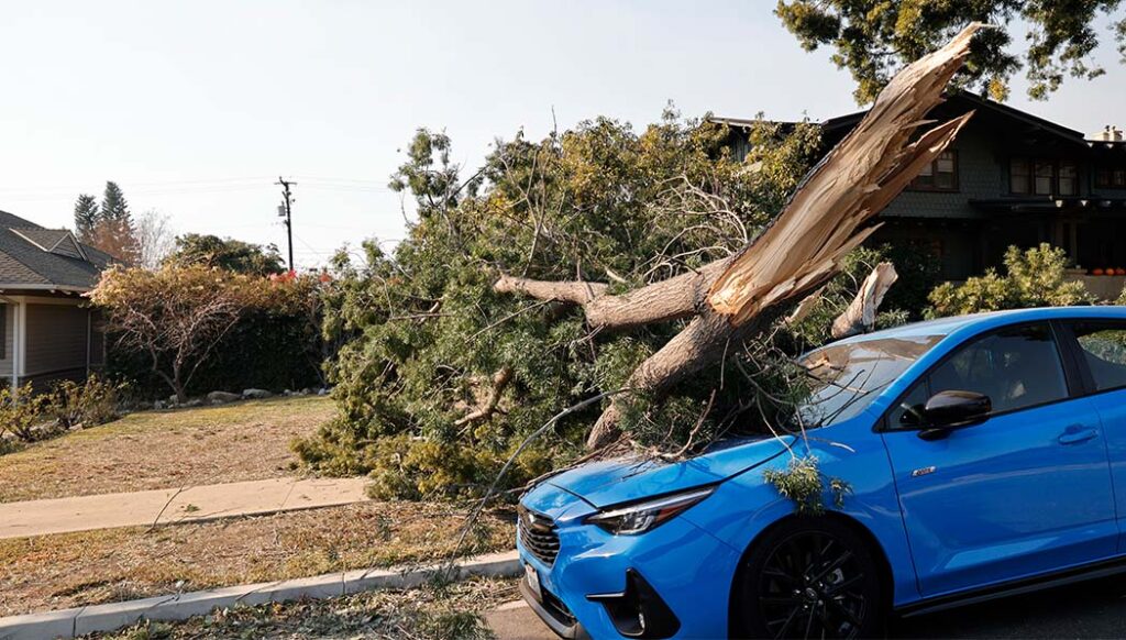 Even without the fires, the high winds caused huge damage to some of the houses, trees, and vehicles.