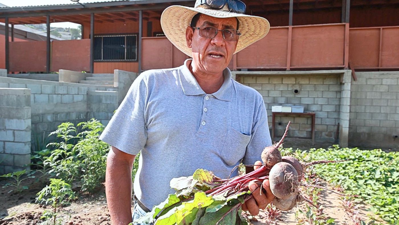 Fabian, an employee at the Tzu Chi Foundation's Tiwana plantation in Mexico, goes to the vegetable garden every morning to check on the fruits and vegetables he has grown and waters the plants. (Photo by Luo Shuli)