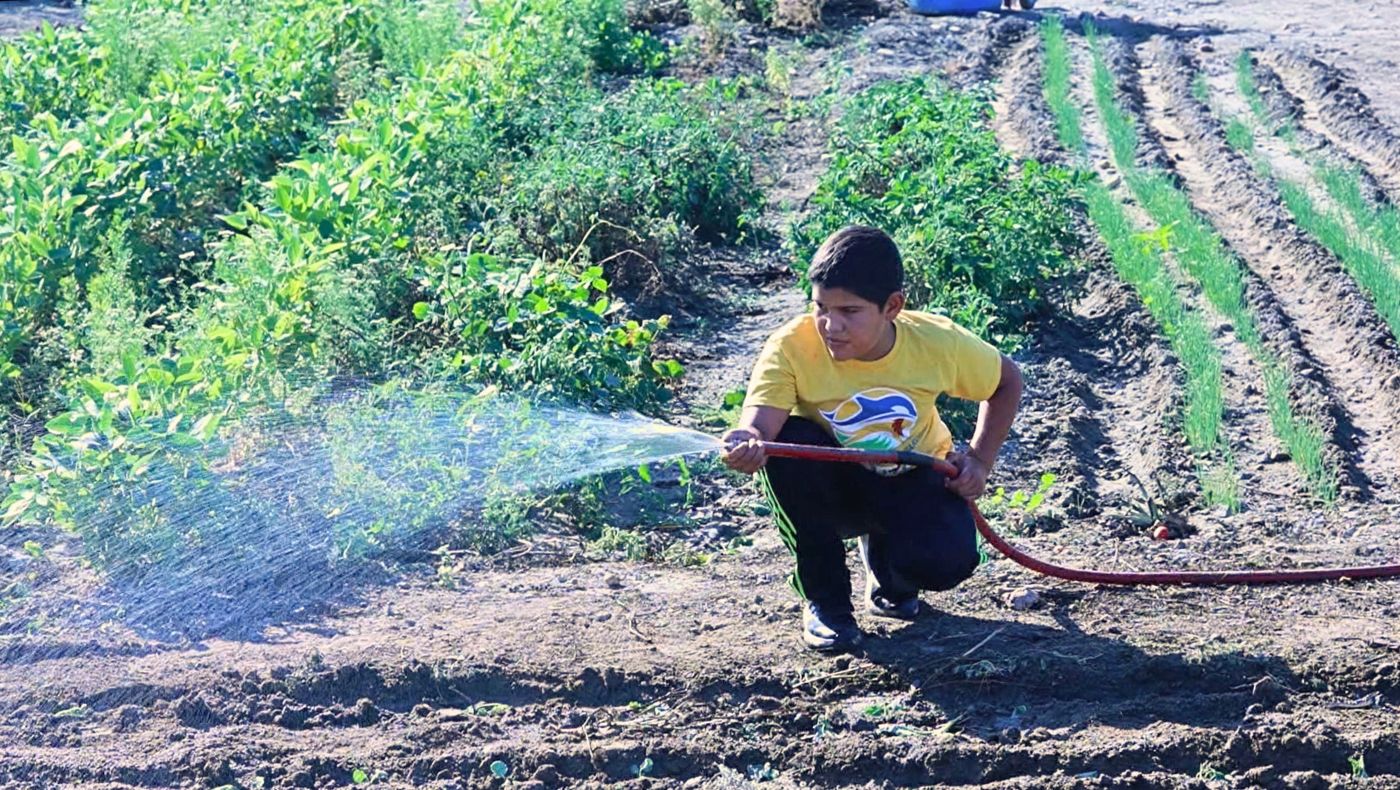 Under Fabian's guidance, the children in the park learned how to water plants so that each plant receives an equal amount of moisture. (Photography by Luo Shuli)
