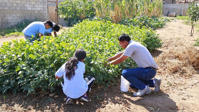 From Hard Soil to Harvest: How Fabián’s Garden Nourishes and Teaches