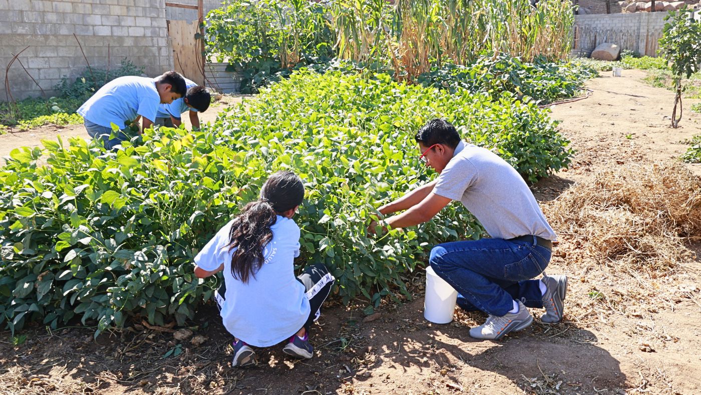 Fabian, an employee of the Tzu Chi Foundation's Tiwana plantation in Mexico, works with children from the Hope Classroom to transform barren land into a fertile vegetable garden. (Photo by Luo Shuli)