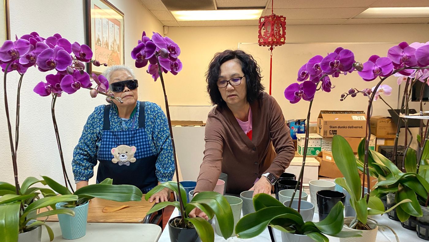 志工在聯絡處會所內擺放節慶蘭花。攝影/許春蘭