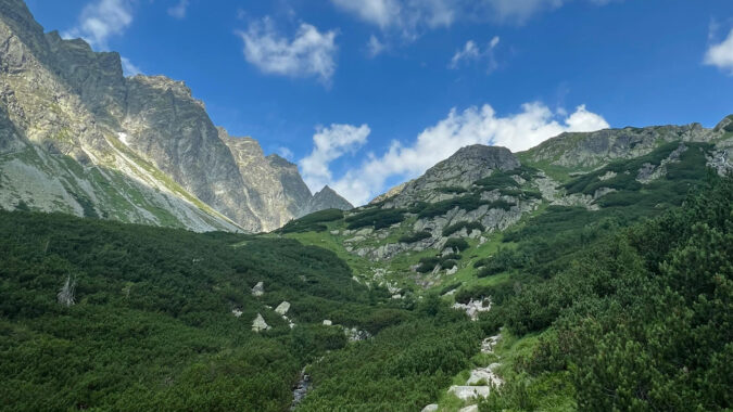 Adhering to the Right Path