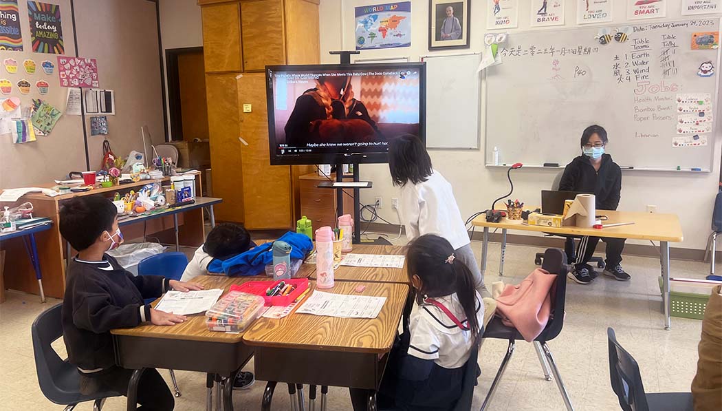 Students watch a video on becoming vegetarians. Photo / Michelle Young