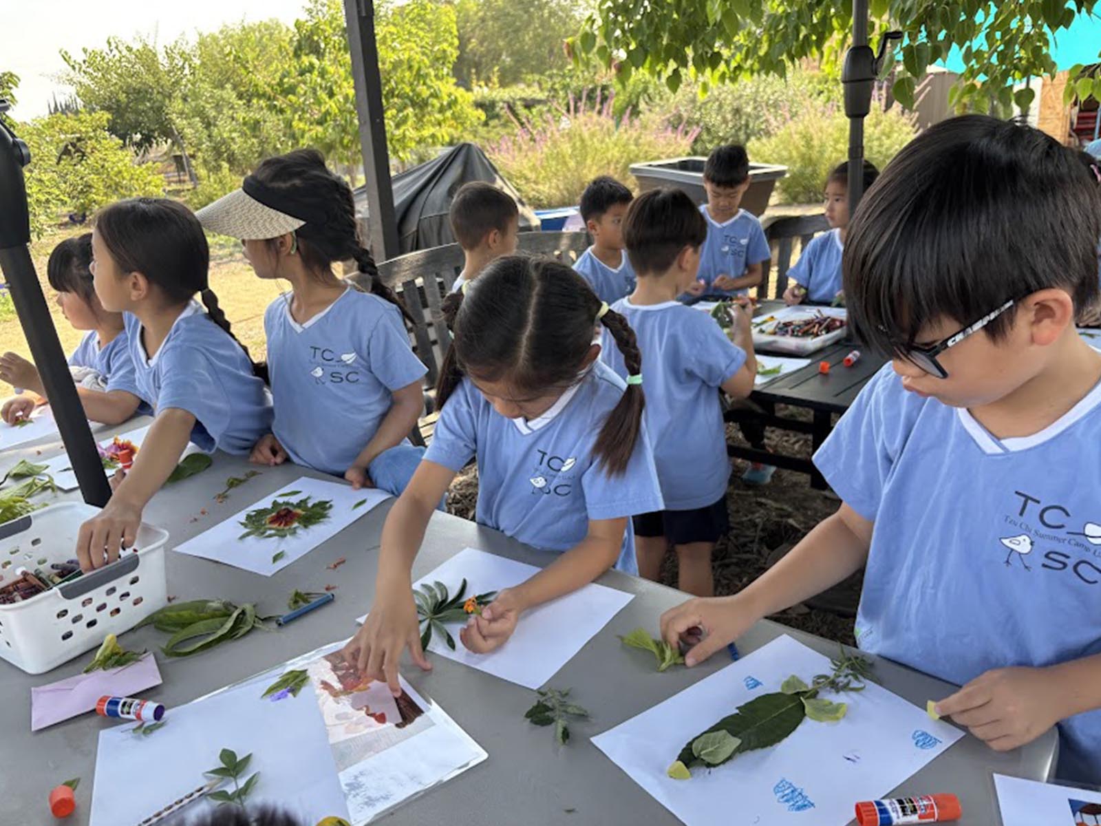 TzuChiUSA-Education-summer-camp_0007_IMG_5504
