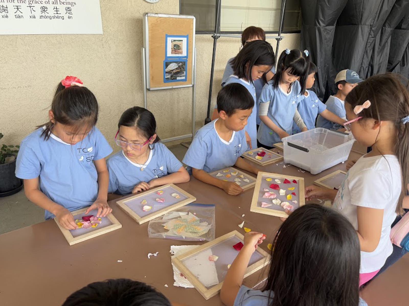 TzuChiUSA-Education-summer-camp_0003_IMG_7684