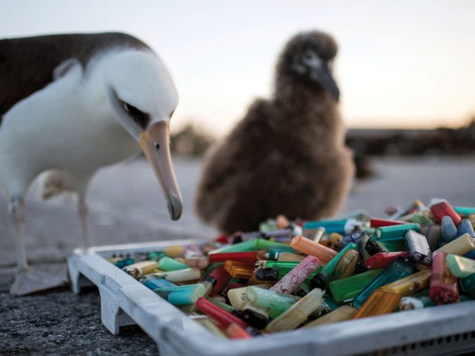What You Need to Know About  Plastic Pollution