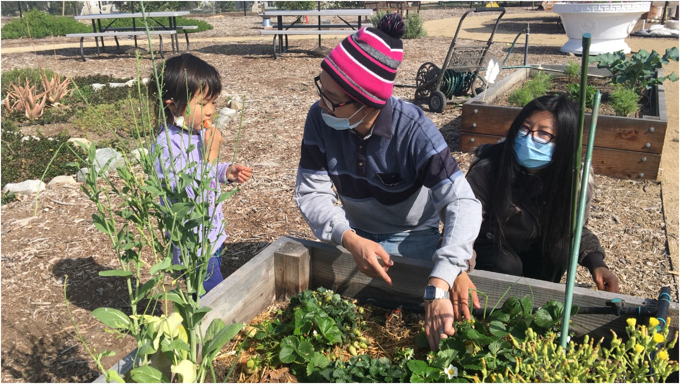 慈濟美國教育園區的「生命科學農場」是社交家庭休閒的好去處。攝影／杜賓