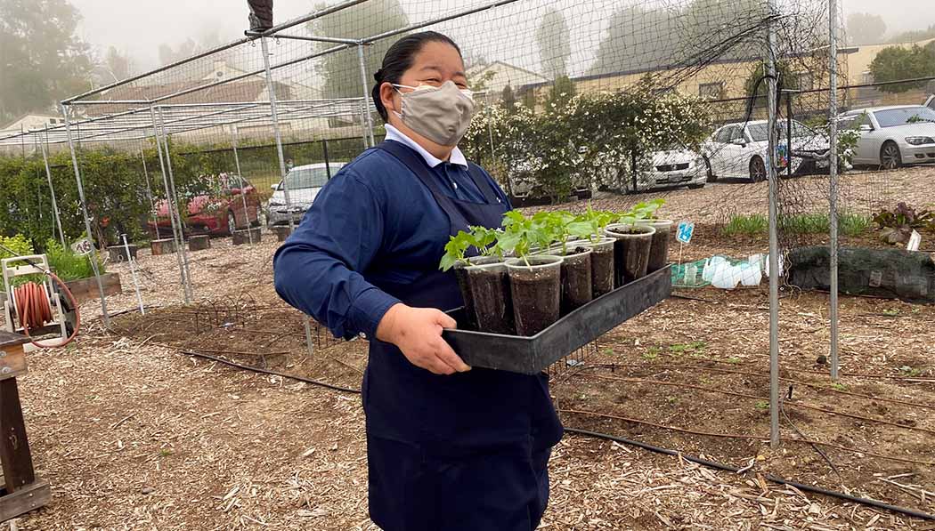 Tzu Chi volunteer hold a tray of plants