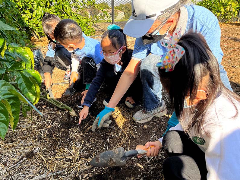 Tzu Chi volunteer and children planting together