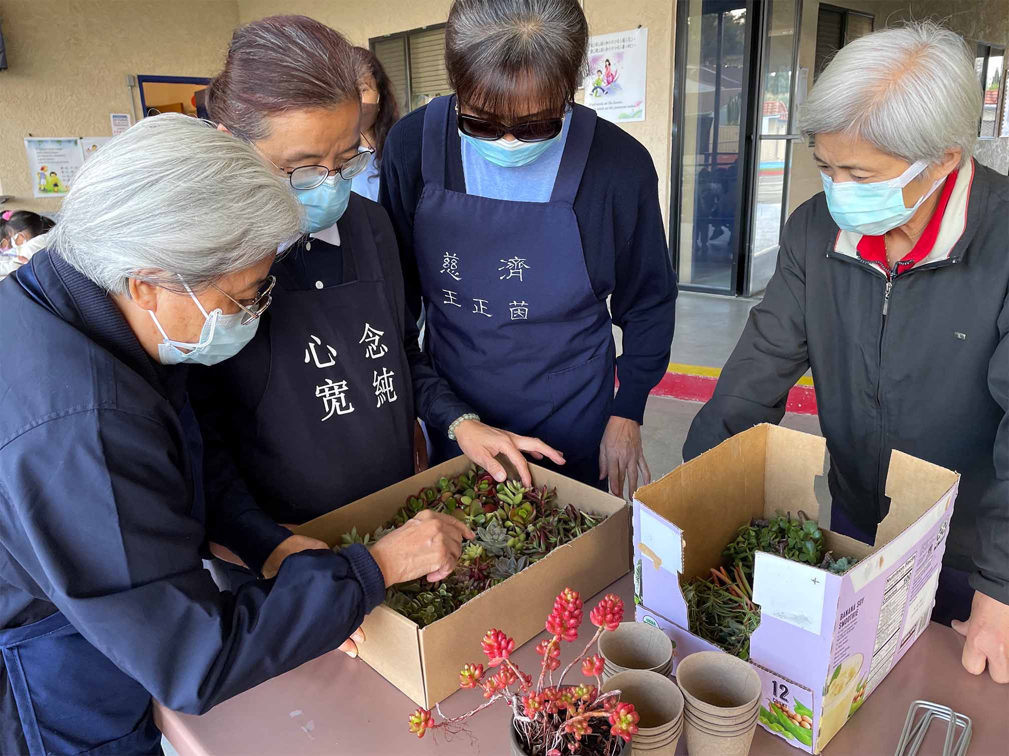 Tzu Chi volunteers checking and plants and chatting