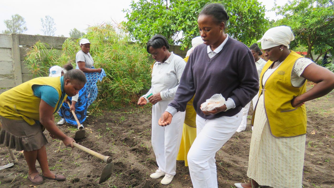 辛巴威志工和當地婦女一起耕耘大愛農場，讓土地和生活一樣欣欣向榮。圖片來源／辛巴威聯絡處